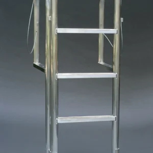 LIft Dock Ladders